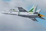 FS2004/2002
                  McDonnell Douglas F/A-18C Hornet. VFA-105 Gunslingers Squadron